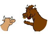 Two cows, saying something